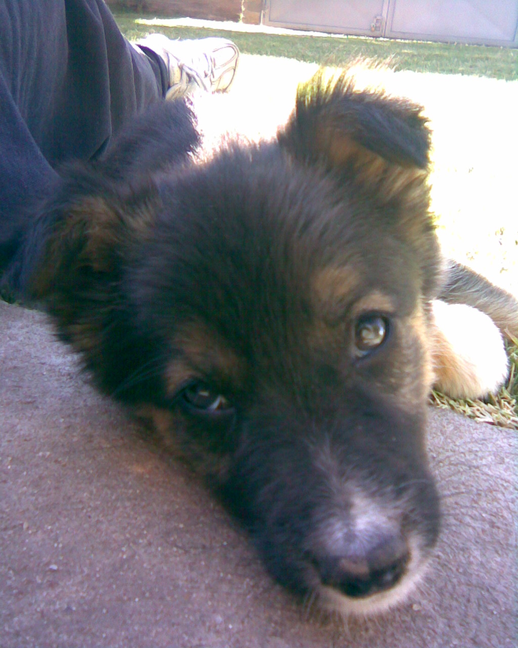 fotos/0000-00-00 - Infancia/Imagen019.jpg